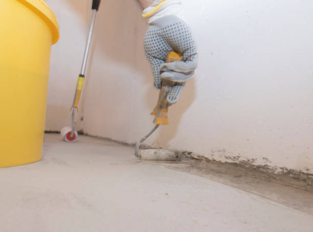 Best Commercial Pest Control  in Medina, WA